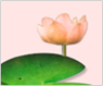 ���� ����Ǯ��